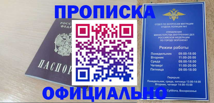 прописка в квартире в Бабаево